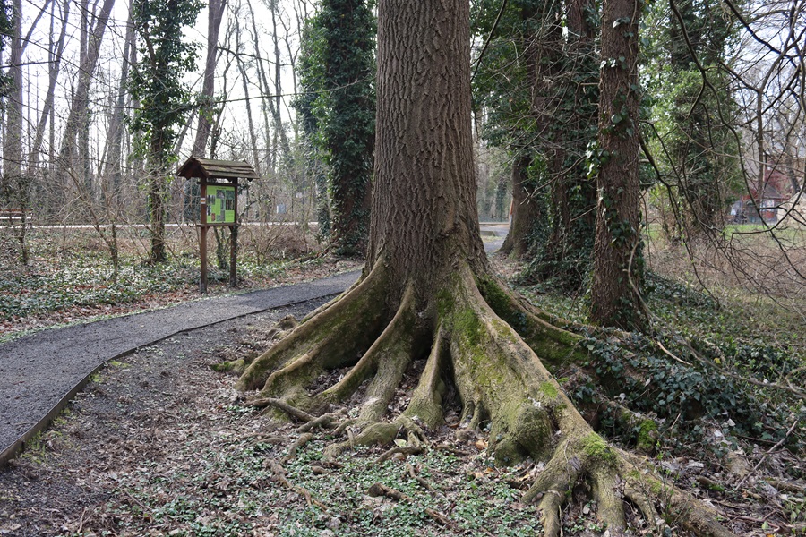 Hévíz im Februar Temperatur Hévíz im Februar Temperatur