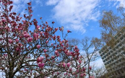 Hévíz im März – Temperaturen im Frühling in Ungarn